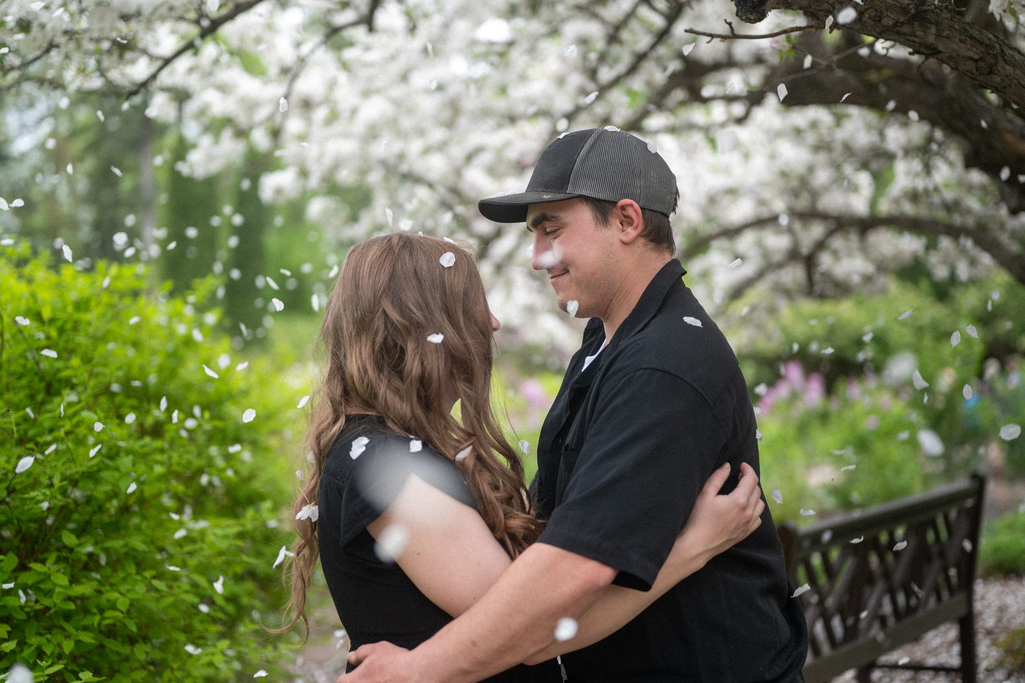 Couple embracing under blossom trees with petals falling during a spring engagement session in Winnipeg