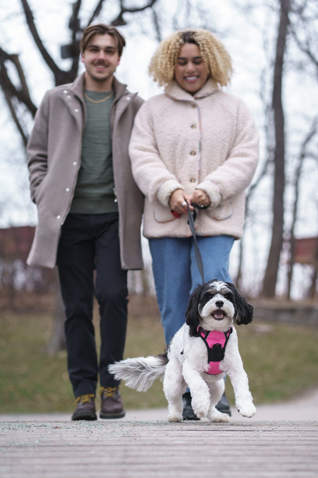 Couple walking their dog along a park path during a Winnipeg engagement session