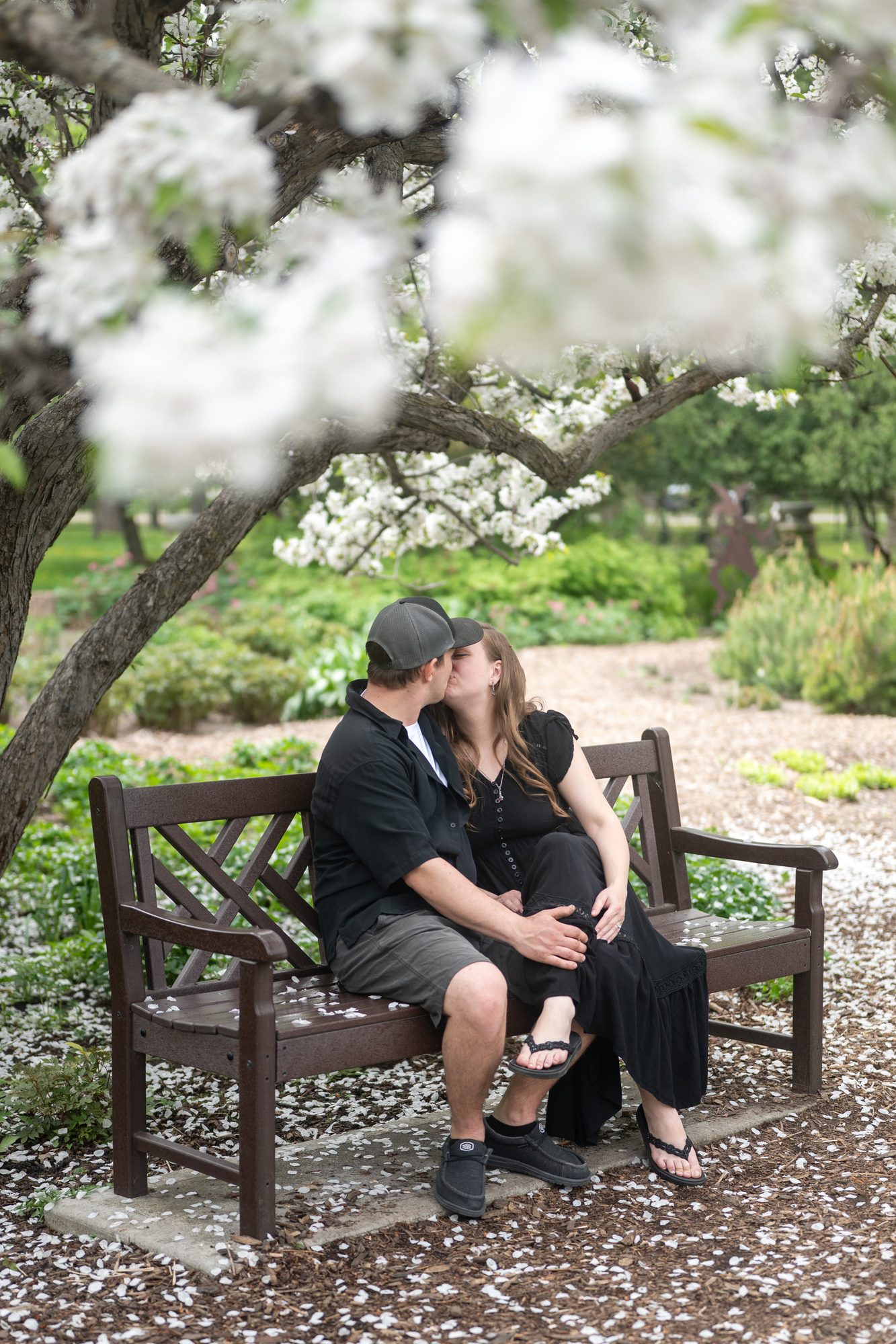 Couple sitting on a park bench under blossom trees during a spring engagement session in Winnipeg